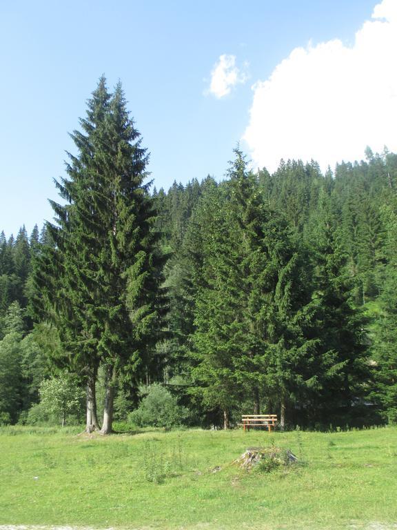 Schwarzenbacher Lungötz Pokoj fotografie